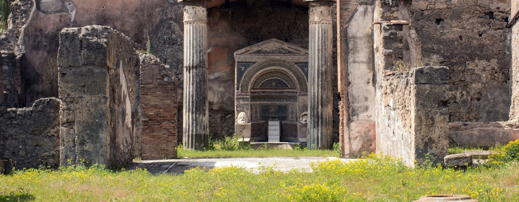 Pompeii Half-day from Amalfi Coast