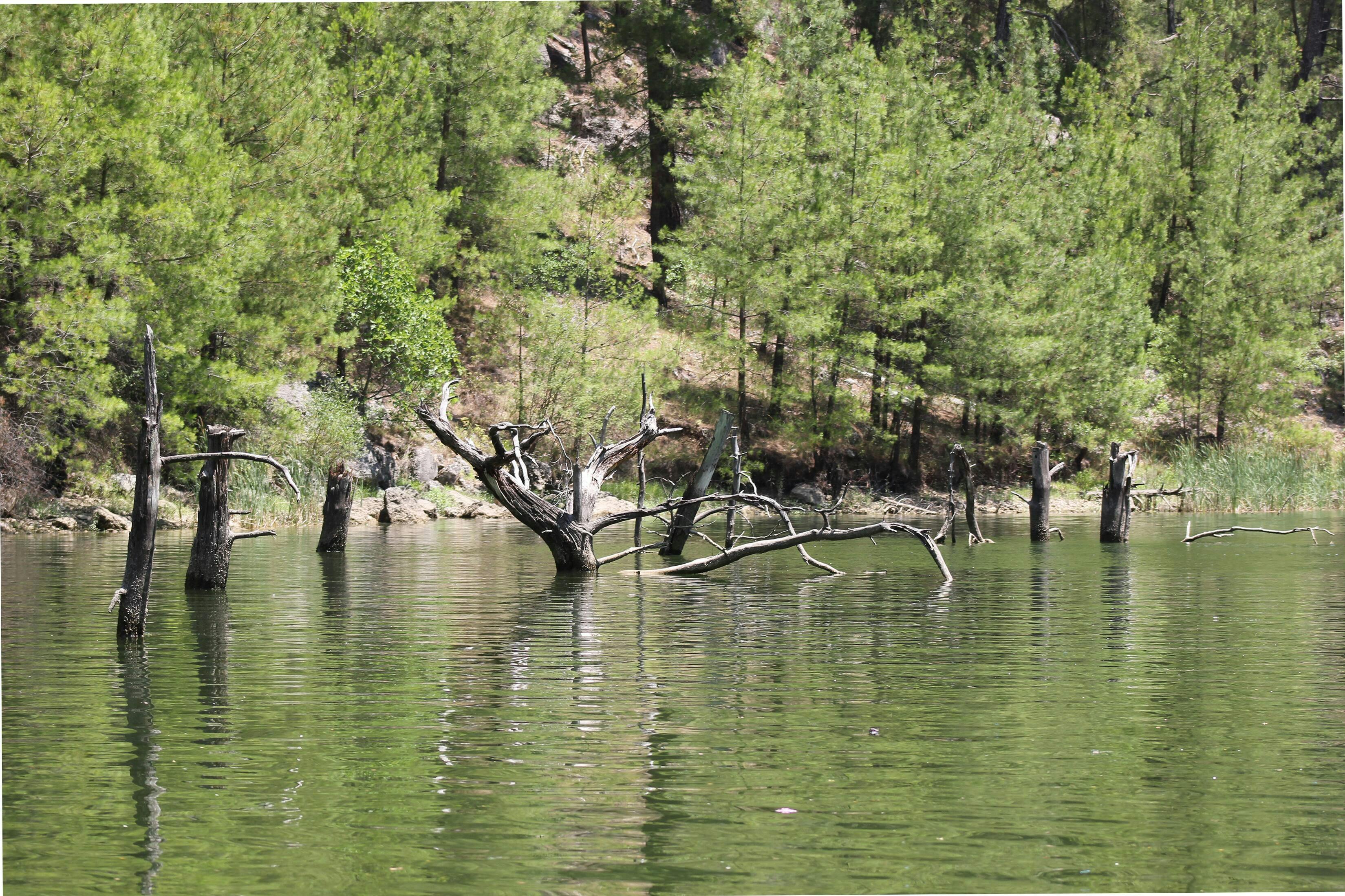 Karacaören Lake & Kursunlu Waterfall with Shopping Tour