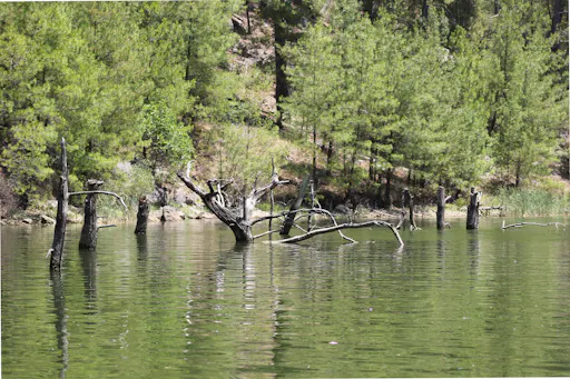 Karacaören Lake & Kursunlu Waterfall with Shopping Tour