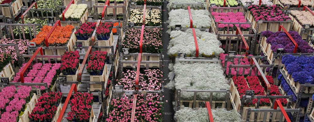 Visita guiada ao leilão de flores de Aalsmeer saindo de Amsterdã