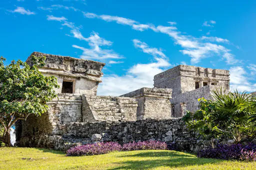 Tulum Morning Tour with Transfer