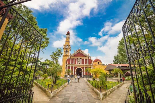 Coffee farms in Coatepec guided tour