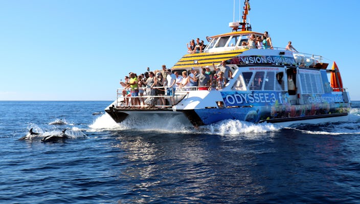 Glass bottom boat cruise in Fuerteventura 4H