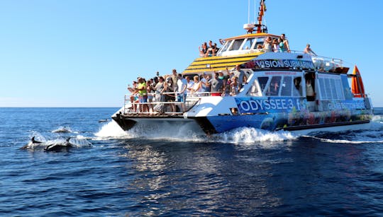 Glasbodenboot-Kreuzfahrt auf Fuerteventura 4H