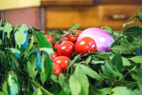 Moroccan Culinary Arts Visit & Cooking Class
