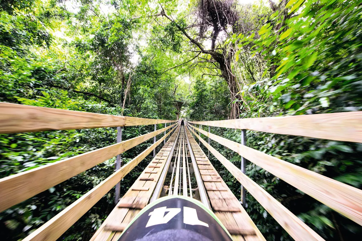 Mystic Mountain 4x4 Experience