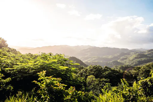 Mystic Mountain 4x4 Experience