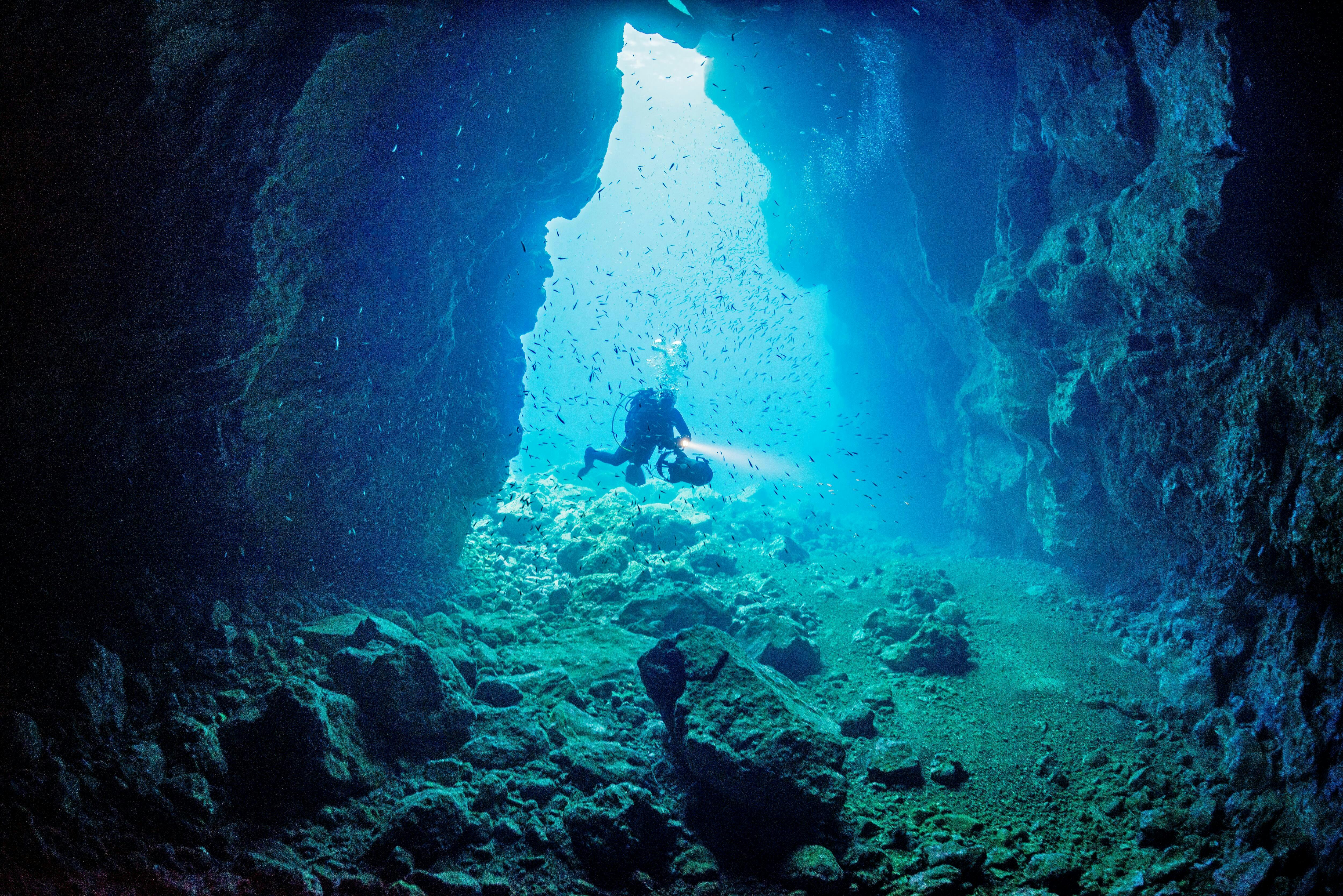 Madeira Diving Experience for Qualified Divers