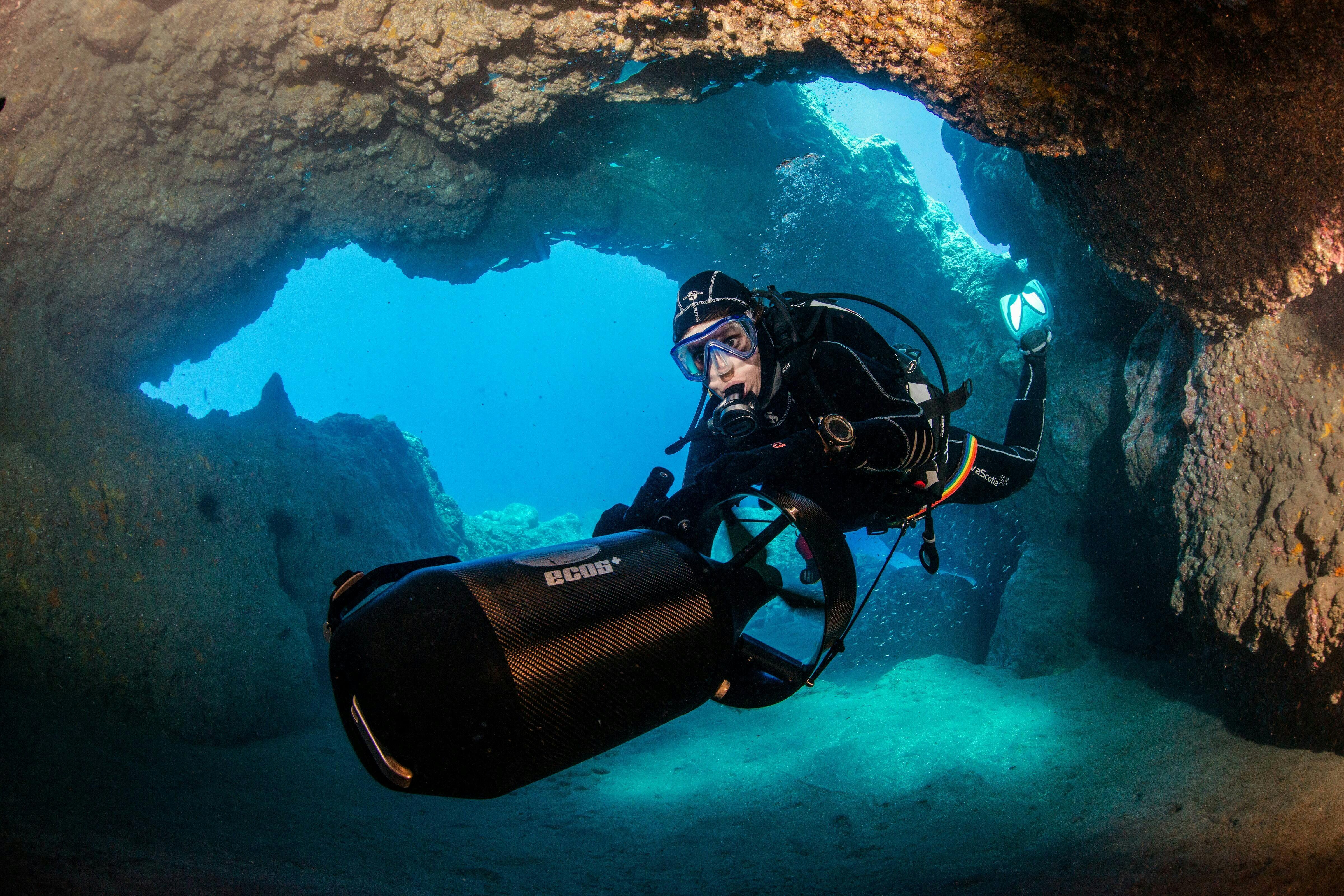 Madeira Diving Experience for Qualified Divers