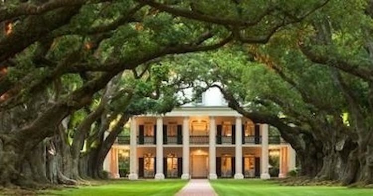 Oak Alley Plantation and Louisiana's swamp combo tour