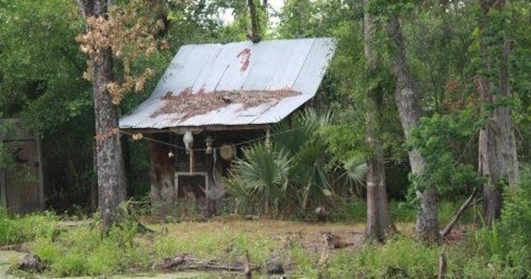 Oak Alley Plantation and Louisiana's swamp combo tour