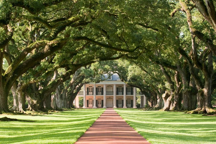 Oak Alley Plantation and Louisiana's swamp combo tour