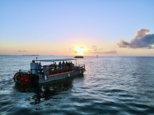 Crucero de fiesta en bicicleta al atardecer en la playa de Fort Myers