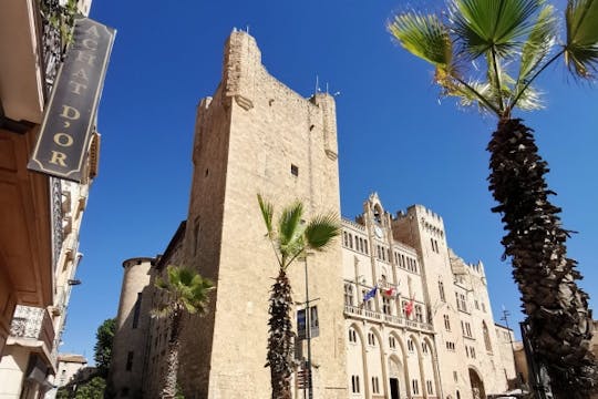 Private guided tour of Narbonne