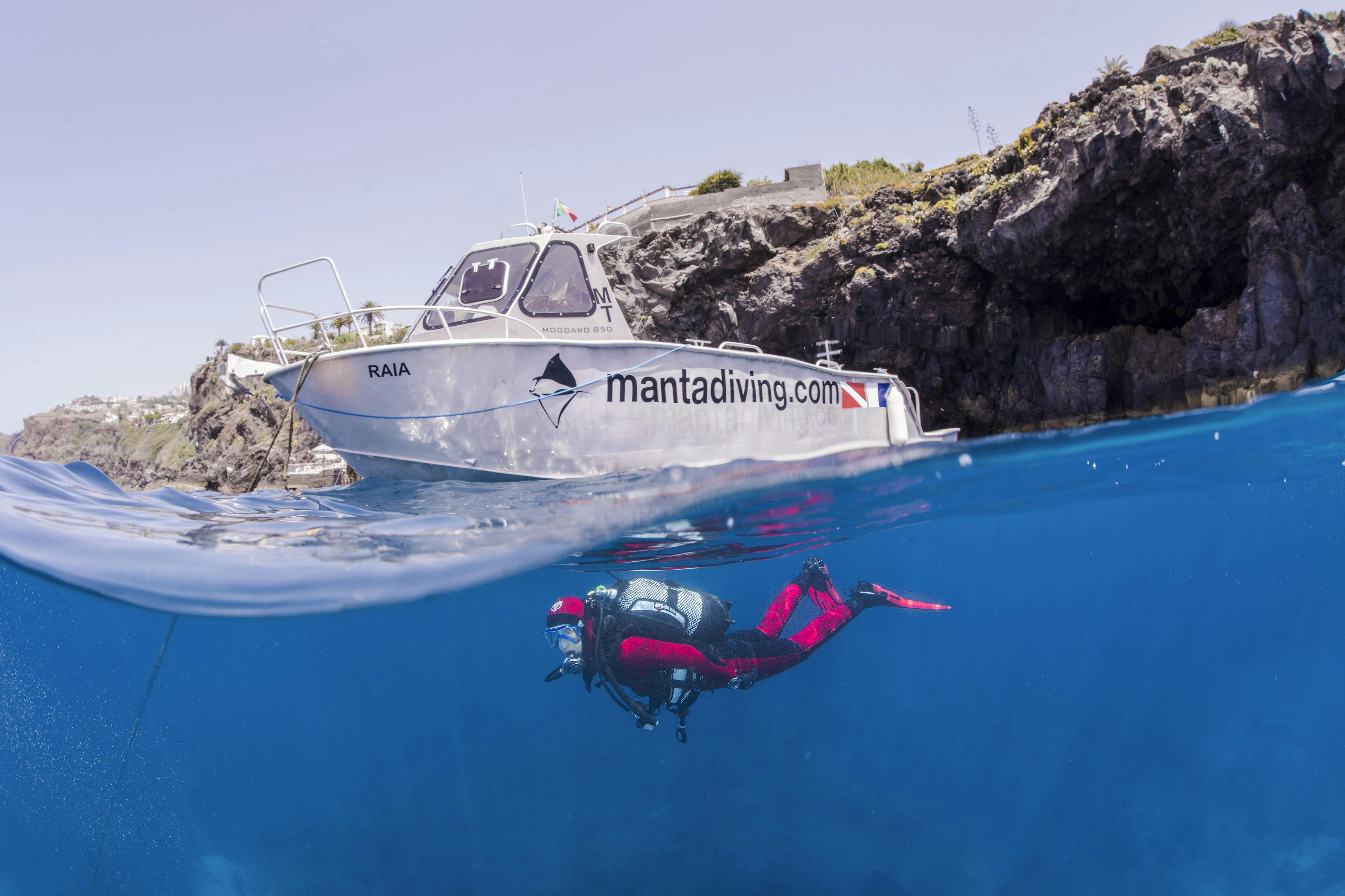 Madeira Diving Experience for Qualified Divers