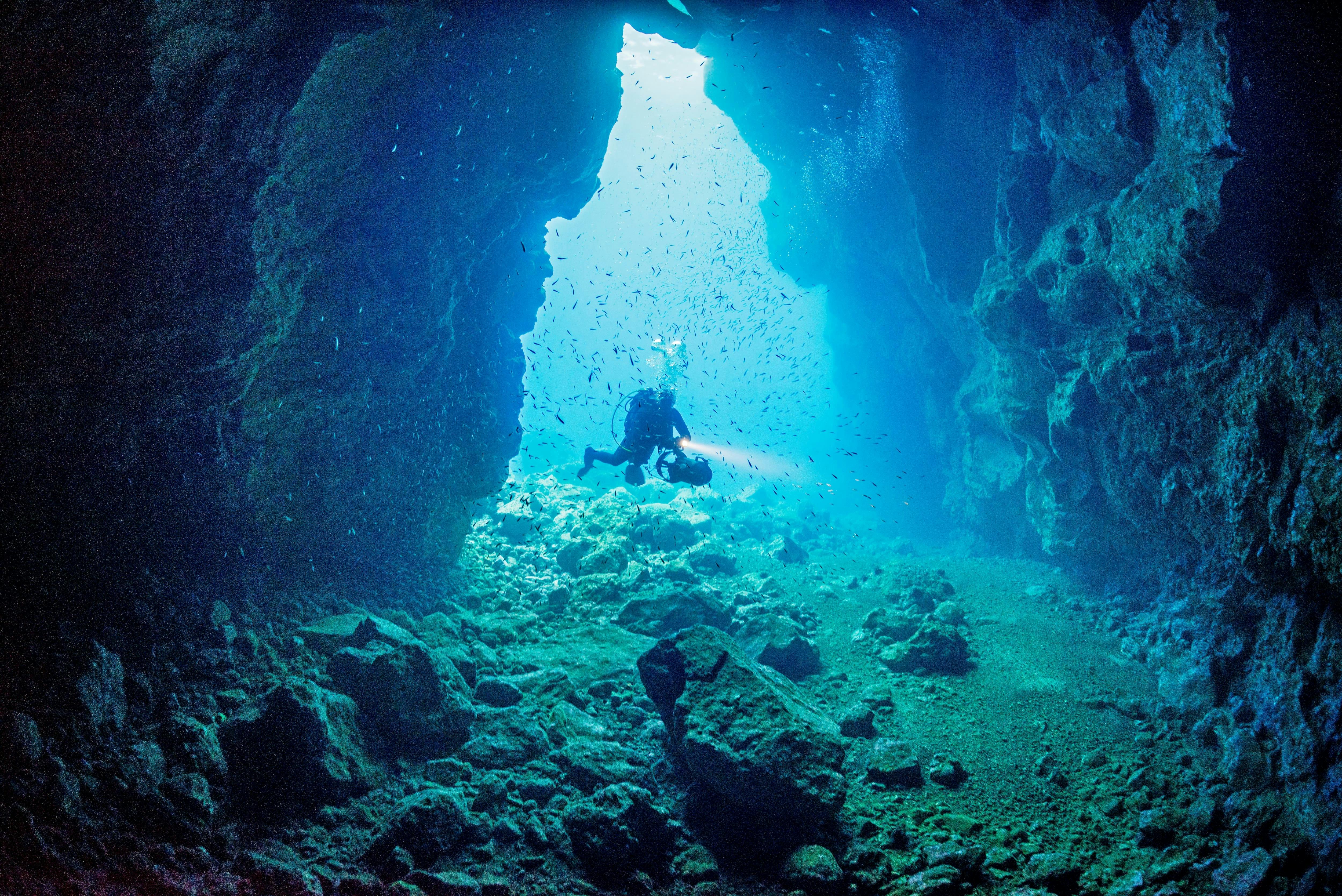 Madeira Diving Experience for Qualified Divers