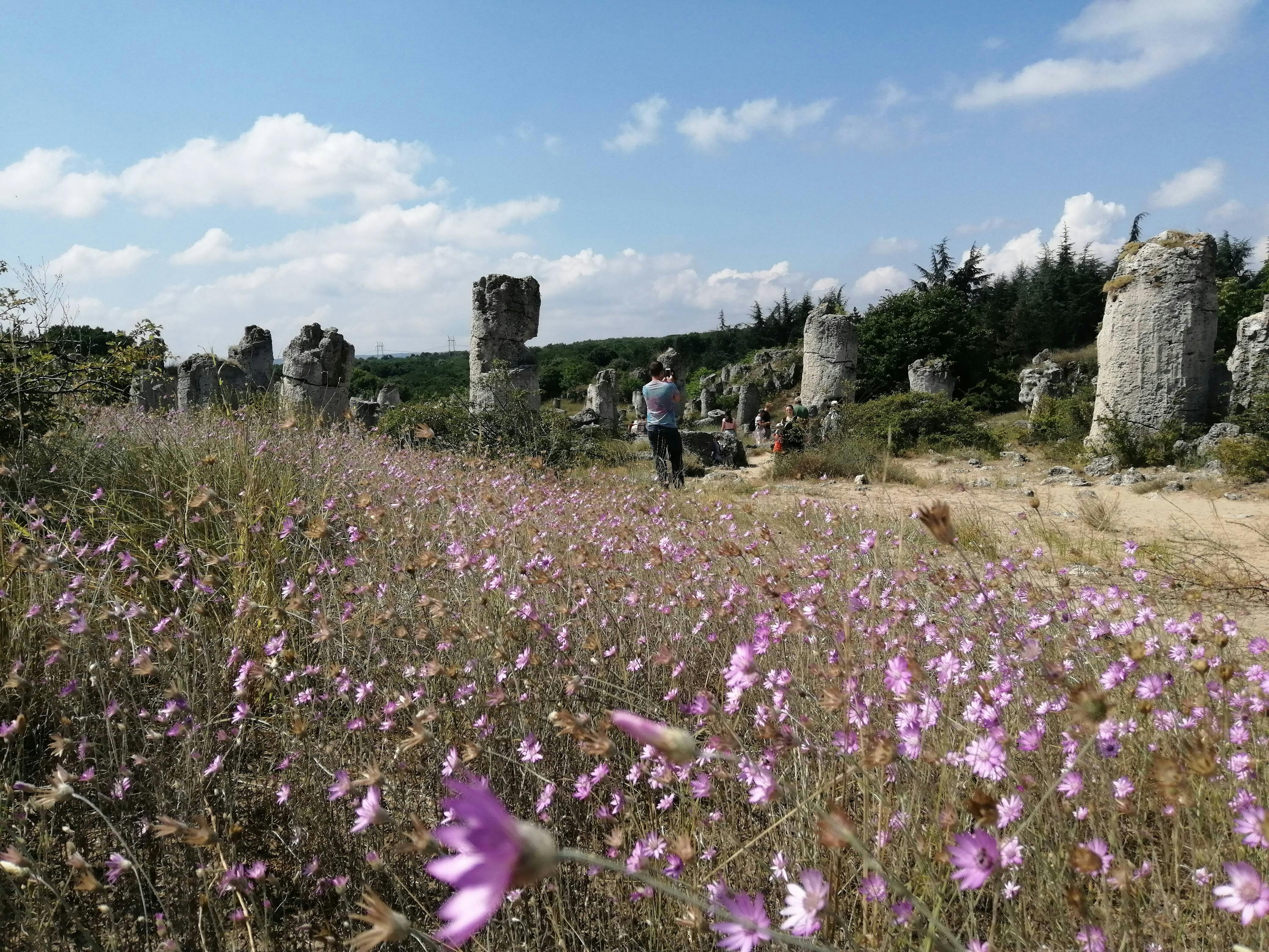 Varna & Stone Forest VIP Tour