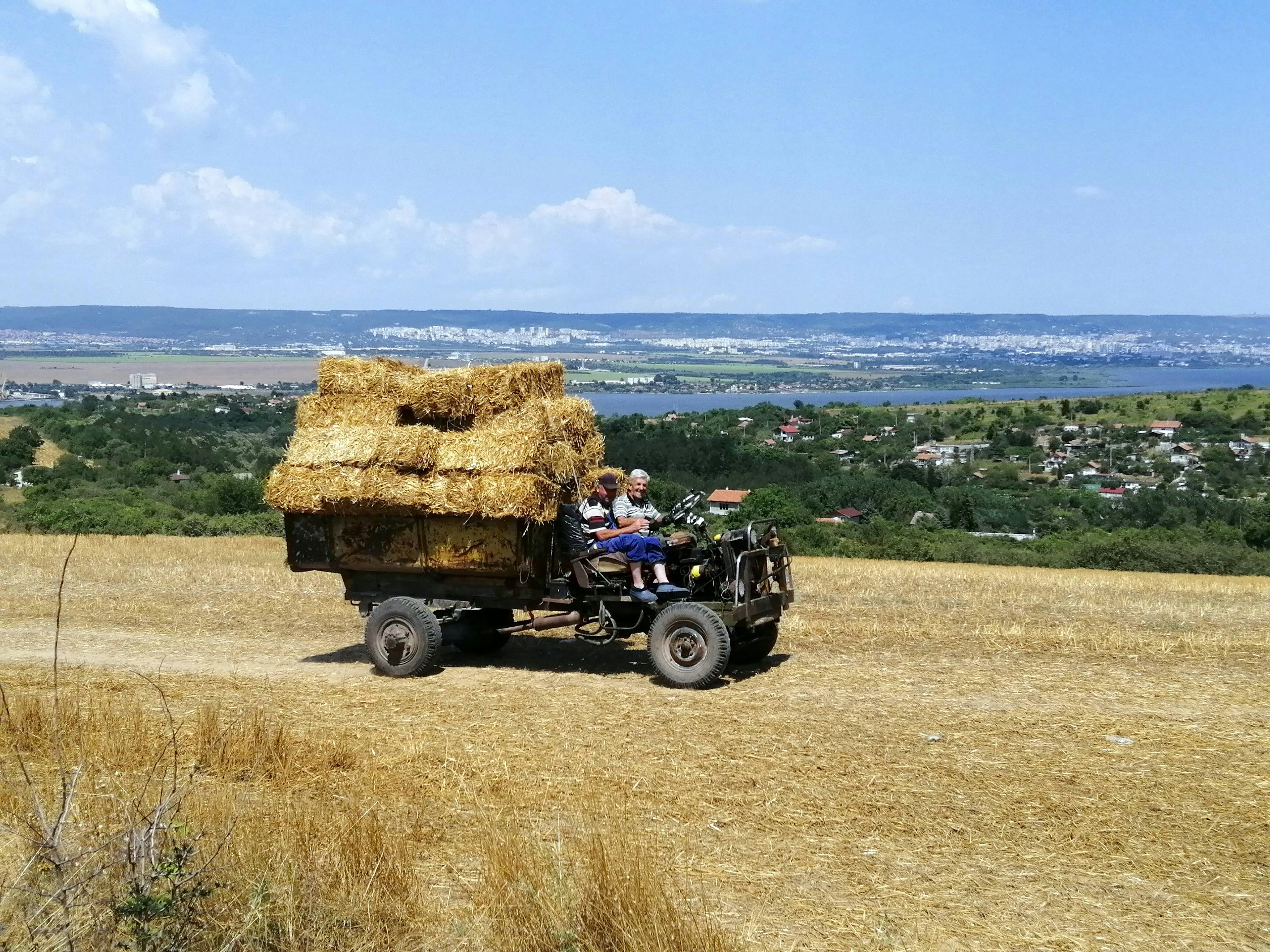 Varna & Stone Forest VIP Tour