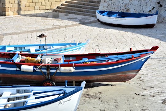 Excursión de medio día a Otranto desde Salento Costa Jónica