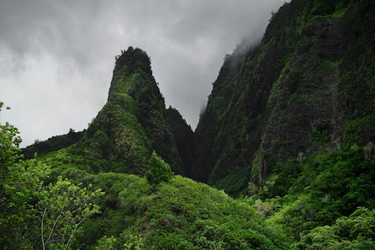 Visite privée d'une journée de la vallée d'Iao et de la ferme de l'arrière-pays