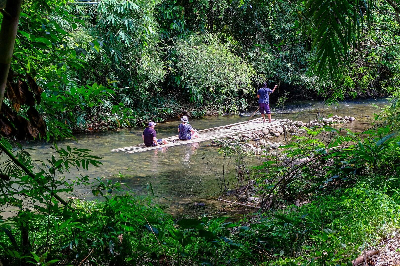 Khao Lak Nature Tour with Turtle Shelter Visit