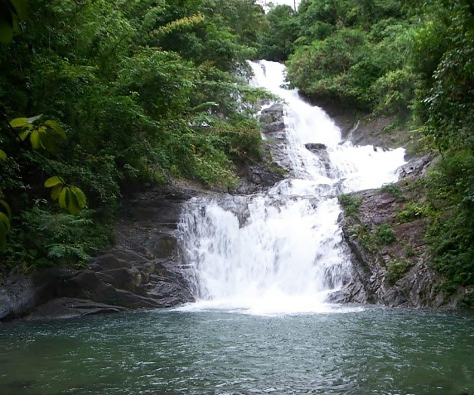 Khao Lak Nature Tour with Turtle Shelter Visit