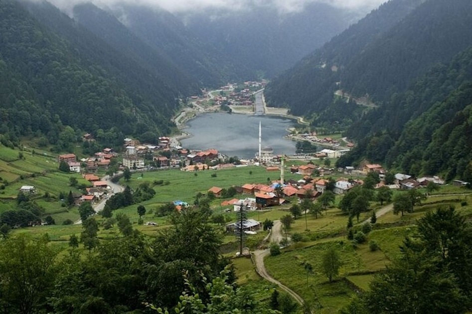 Uzungol and tea factory private half-day guide tour from Trabzon | musement