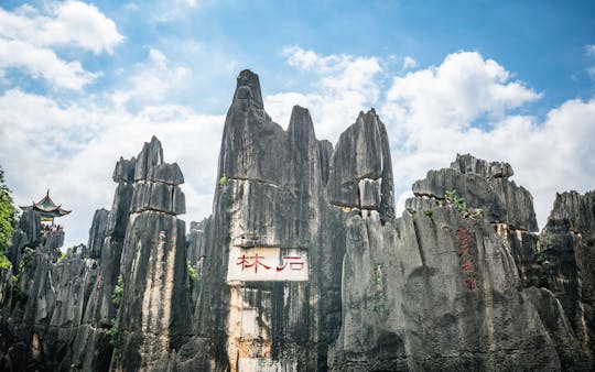 Kunming atrakcja prywatnej jednodniowej wycieczki Stone Forest