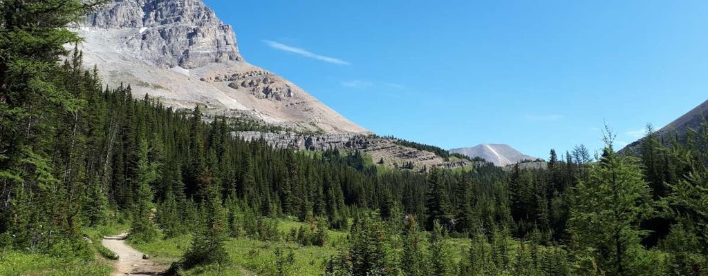 Escursione guidata a Skoki Backcountry da Banff o Lake Louis