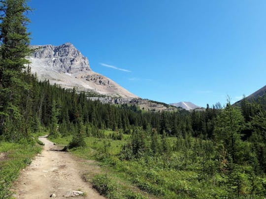 Excursão de caminhada guiada Skoki Backcountry de Banff ou Lake Louis
