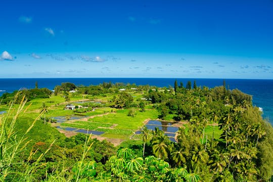 Halfway to Hana half-day private tour