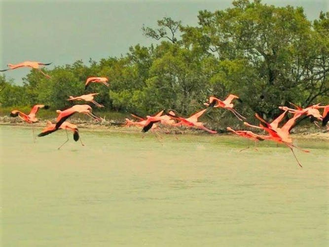 Las Coloradas full-day guided tour