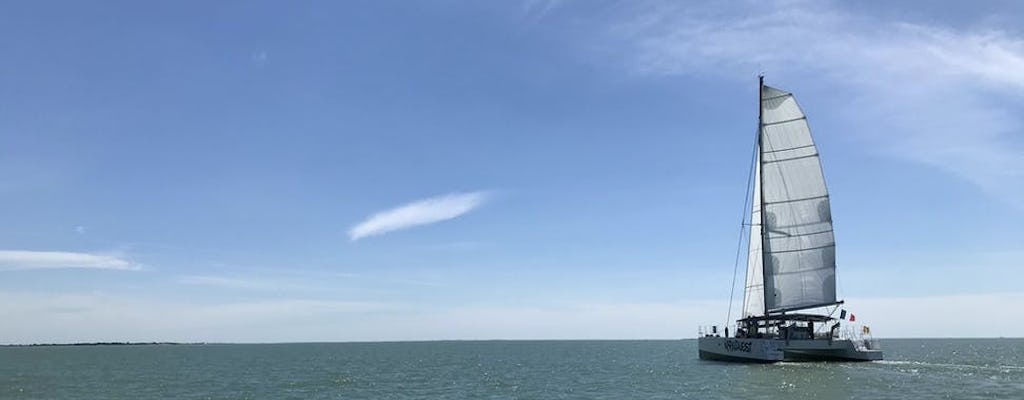 Cruzeiro de vela matinal em um catamarã de La Rochelle