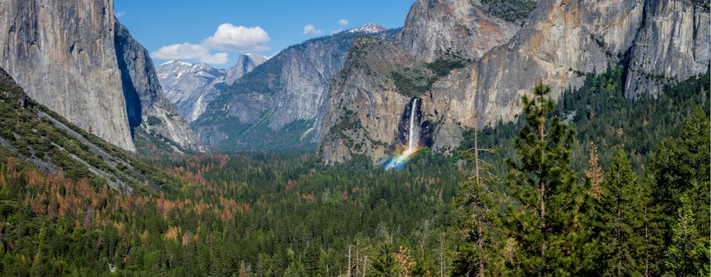Yosemite and Giant Sequoias guided day tour from San Francisco