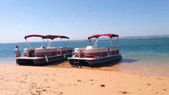 Visita guiada de catamarã na Ria Formosa e Ilhas Faro saindo de Faro