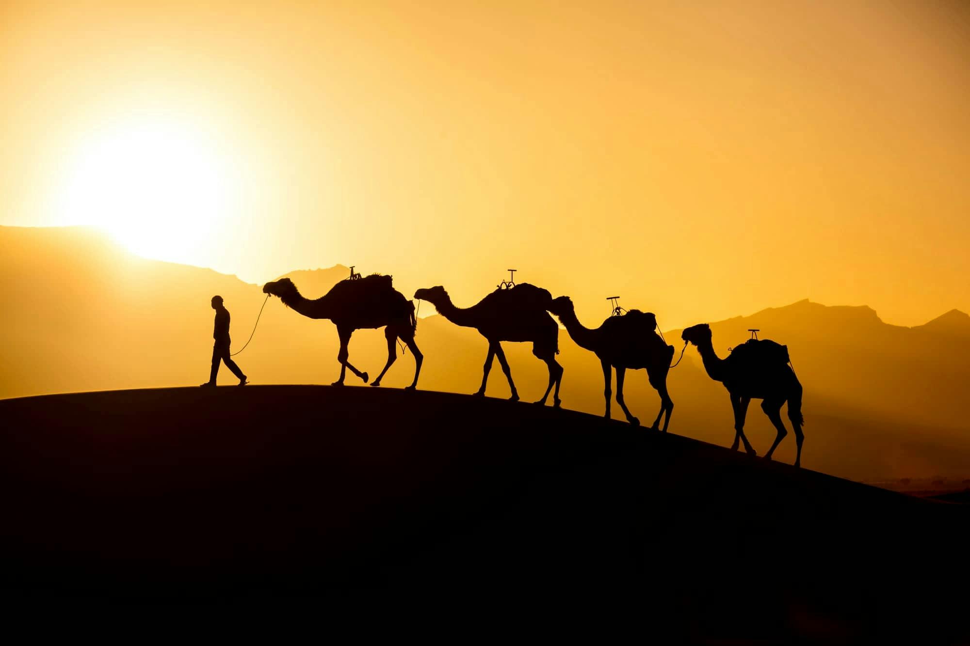 Marrakech Camel Safari