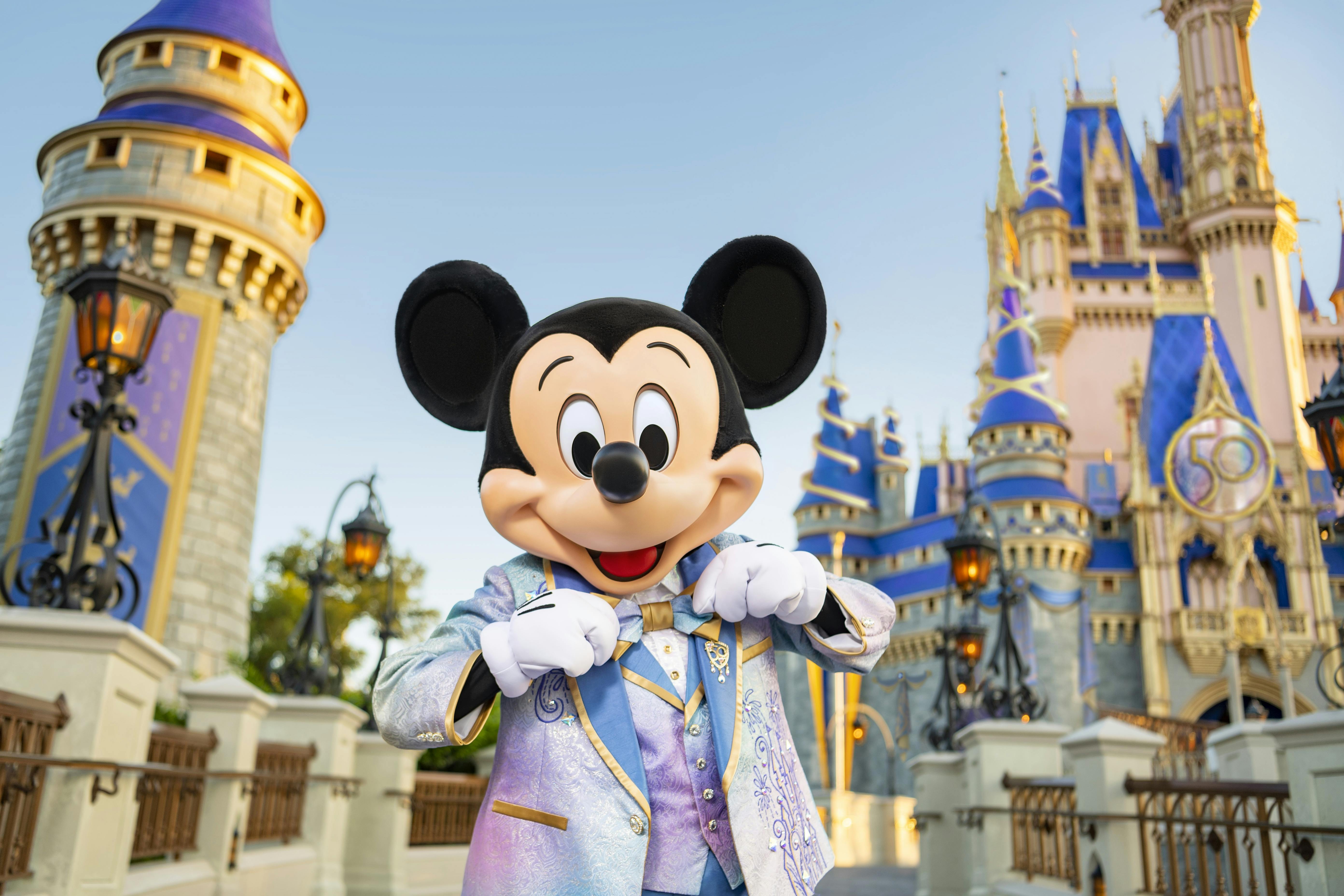 Walt Disney World Resort ticket with Park Hopper© Plus option 2022
