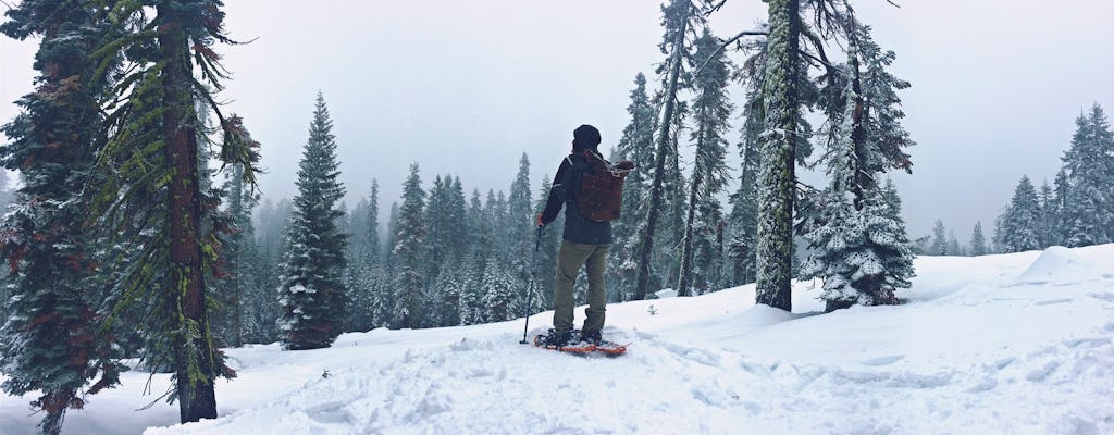 Excursion d'hiver en raquettes dans la vallée de Yosemite et les séquoias géants au départ d'El Portal avec boîte à lunch