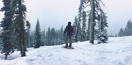 Yosemite Valley & Giant Sequoias winter snowshoe tour from El Portal with lunch box