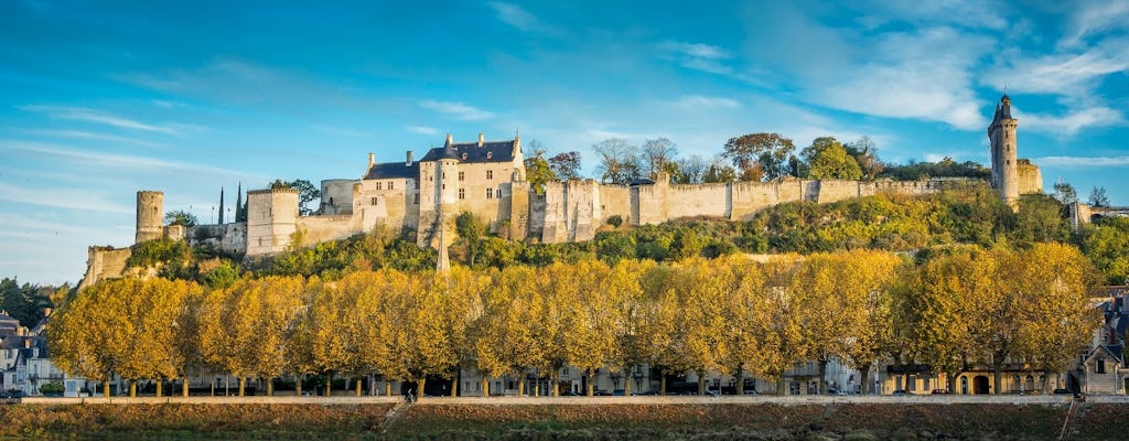Ticket to the Royal Fortress of Chinon