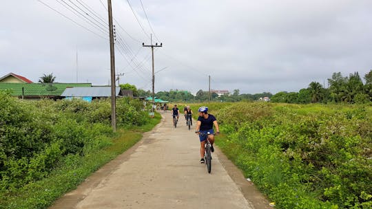 Excursión de medio día en bicicleta por Koh Klang