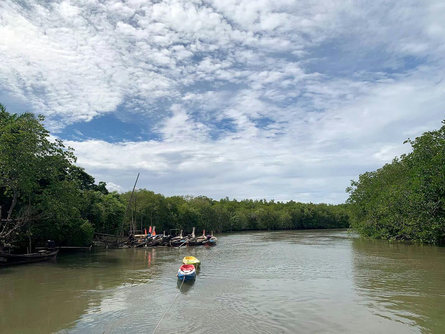 Full Day Krabi Tour with Kayaking & Bee Farm Visit