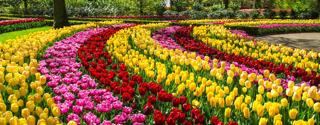 Visita guiada de bicicleta por Keukenhof e pelos campos de flores