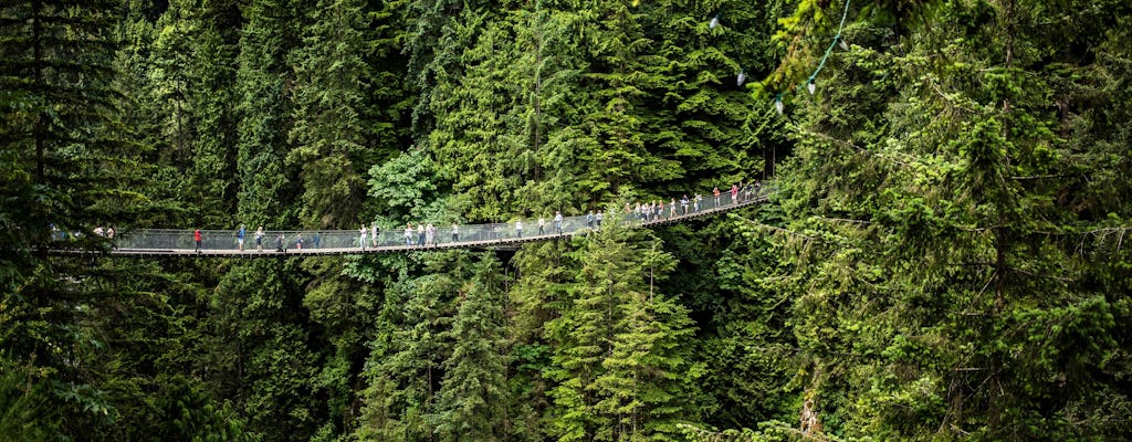 Vancouver North small-group tour and Capilano Suspension Bridge