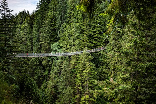 Vancouver North Kleingruppentour und Capilano Suspension Bridge