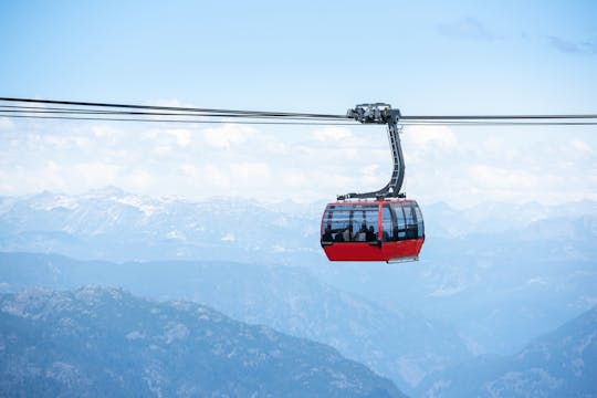 Sightseeing tour of Whistler and admission to PEAK 2 PEAK Gondola