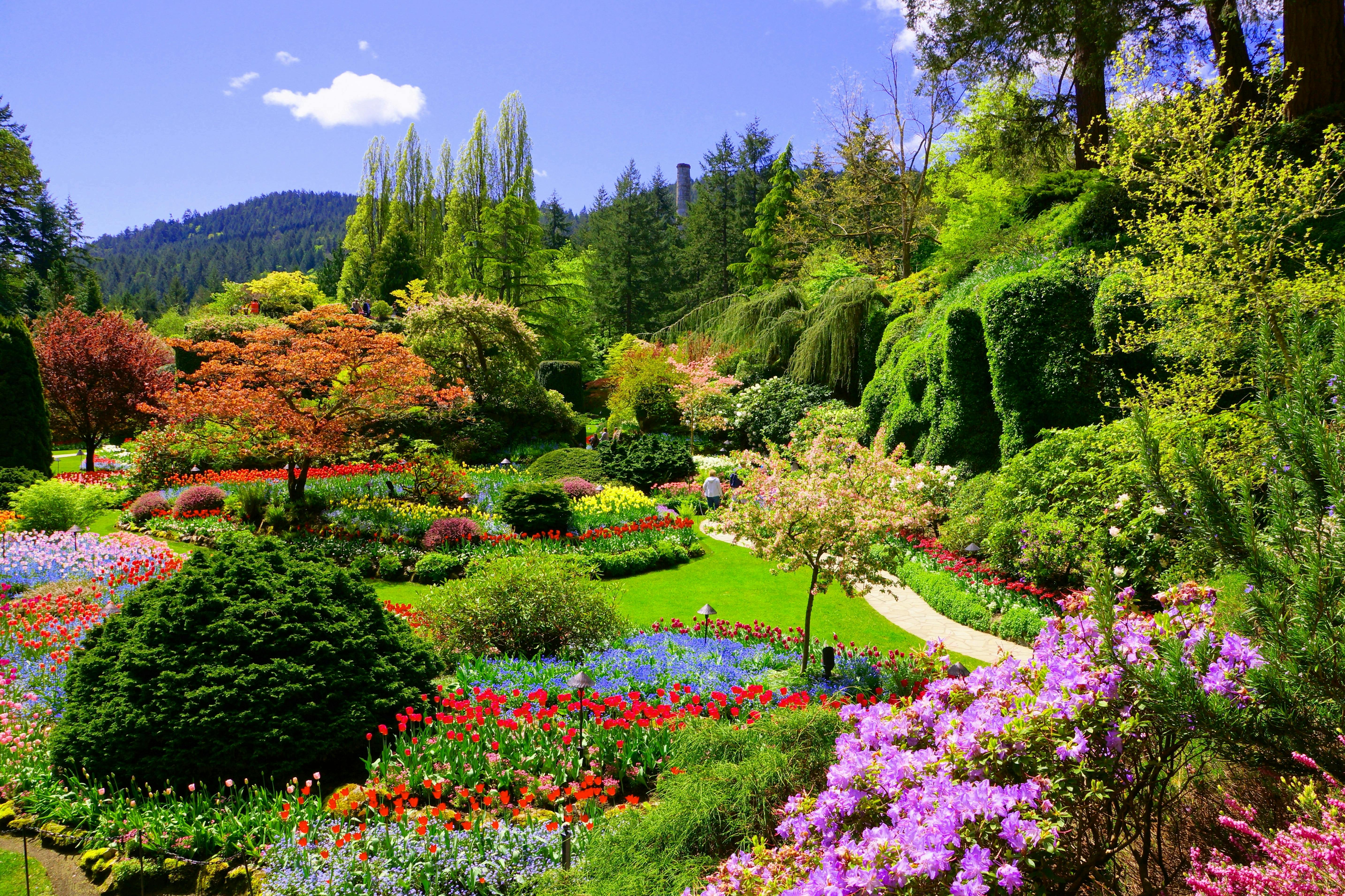 Zwiedzanie ogrodów Victoria i Butchart Gardens z Vancouver