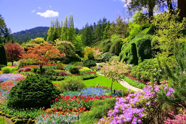 Zwiedzanie ogrodów Victoria i Butchart Gardens z Vancouver