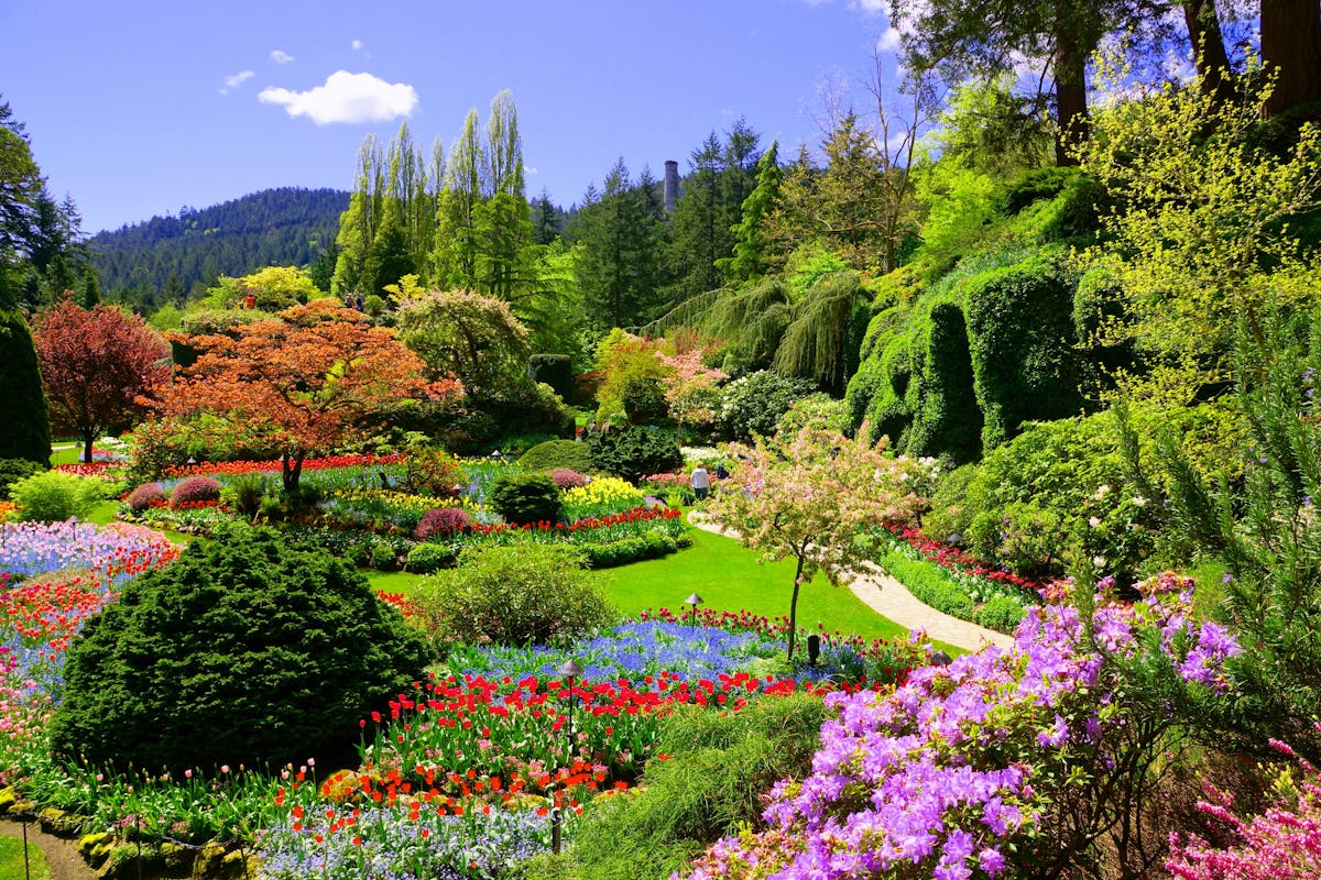 Sightseeingtour door Victoria en Butchart Gardens vanuit Vancouver