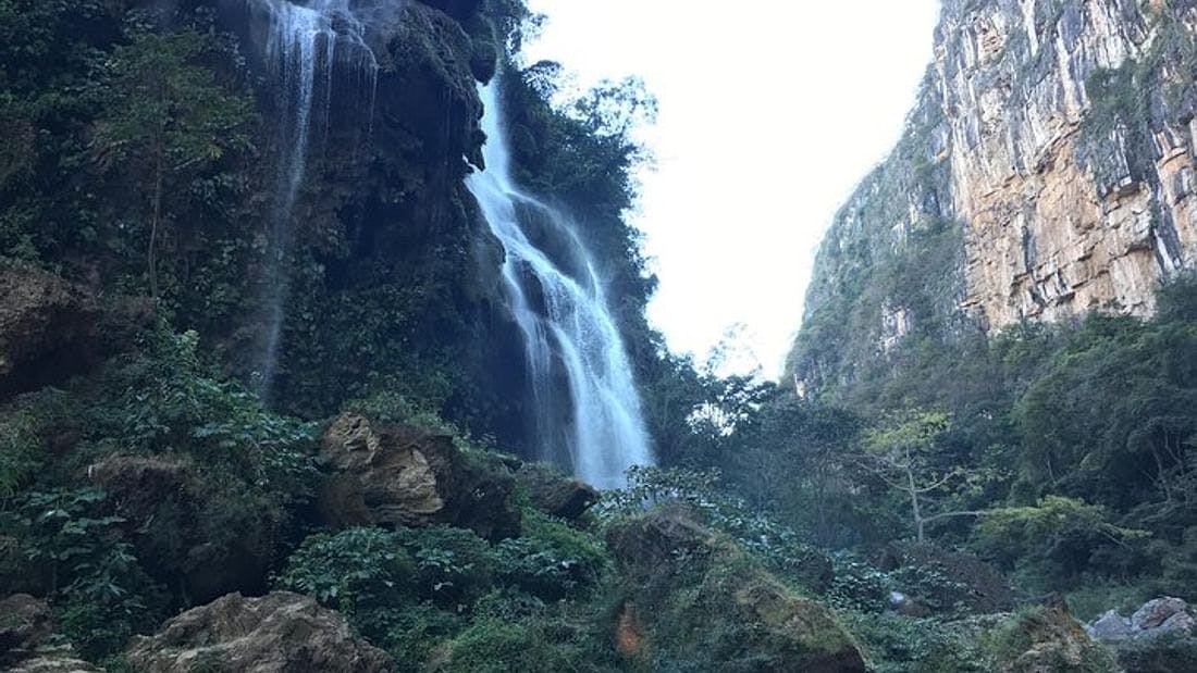 Visita guiada a la cascada Aguacero y la Reserva de la Biosfera Ocote desde Tuxtla Gutiérrez